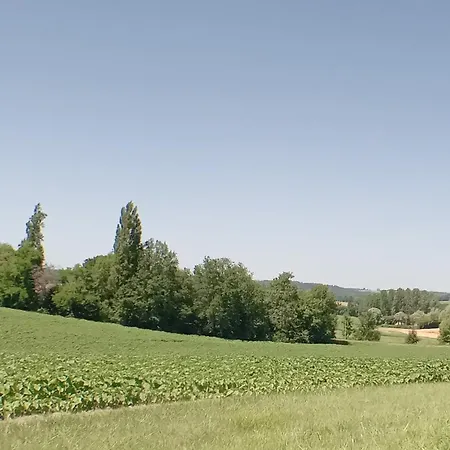 Magic Couples Only One Level Spacious *