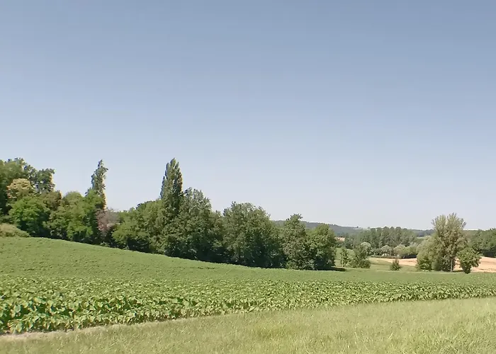 Magic Couples Only One Level Spacious *