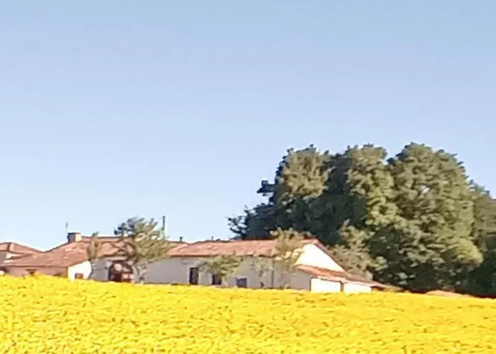 Casa vacanze Magic Couples Only One Level Spacious *